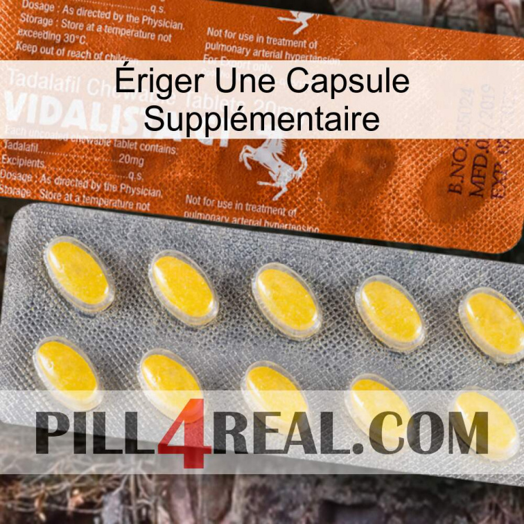 Ériger Une Capsule Supplémentaire 42